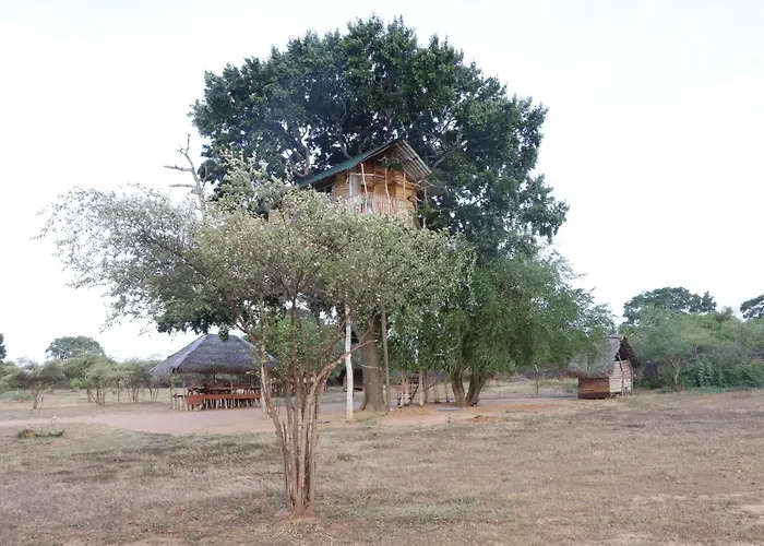 Yala Dream Park