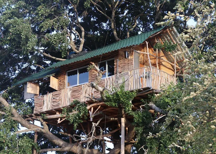Yala Dream Park