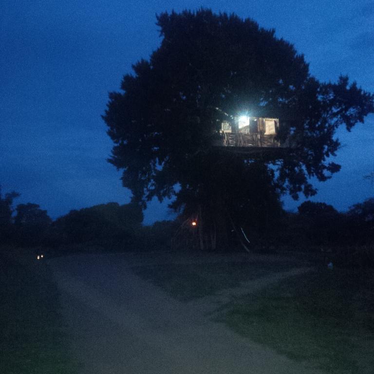 Dream Park Luxury tent Yala
